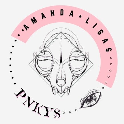 Pnkys SFX Instagram icon